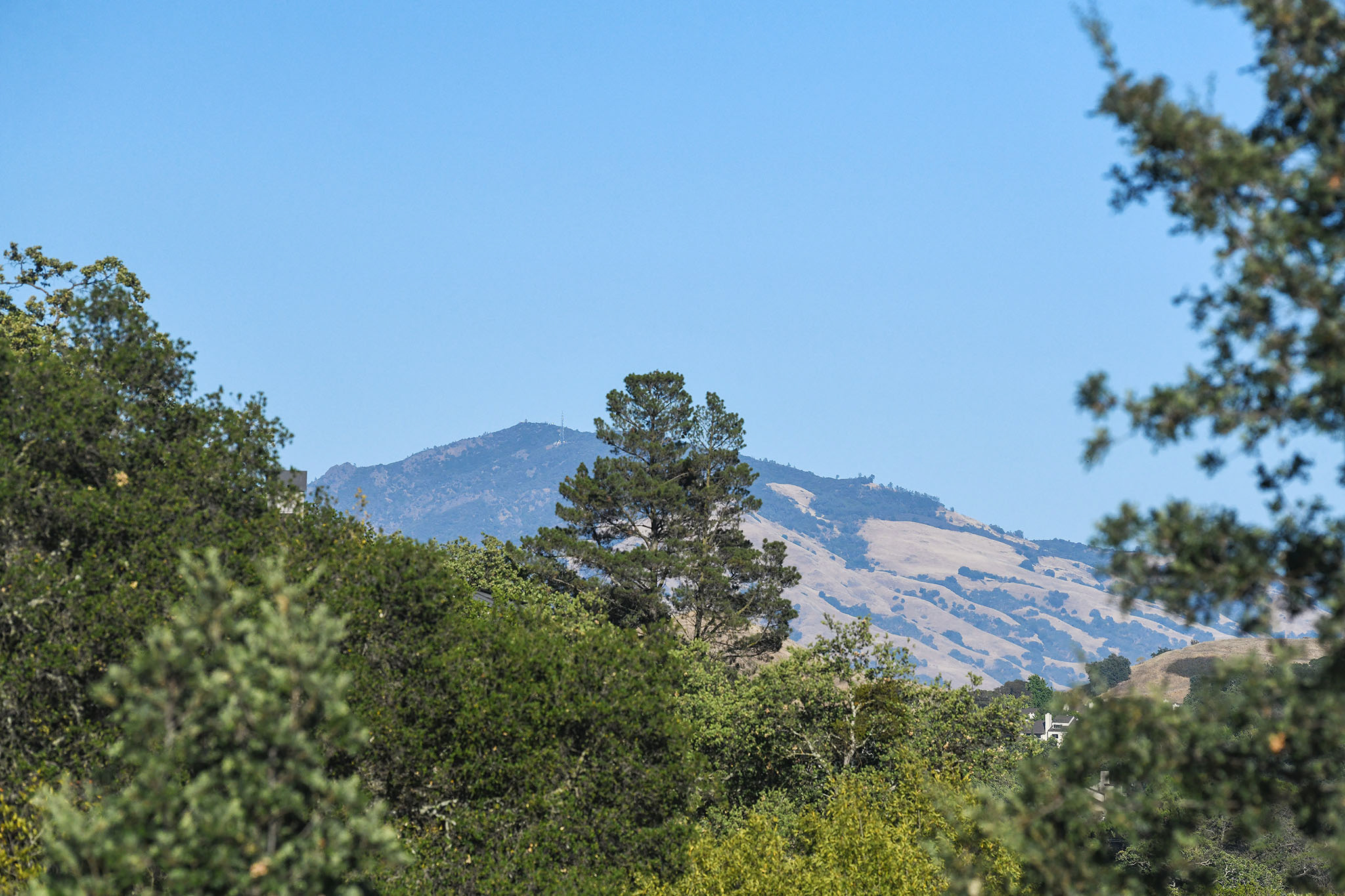 Image number 33 for slideshow of 41 Prado Way