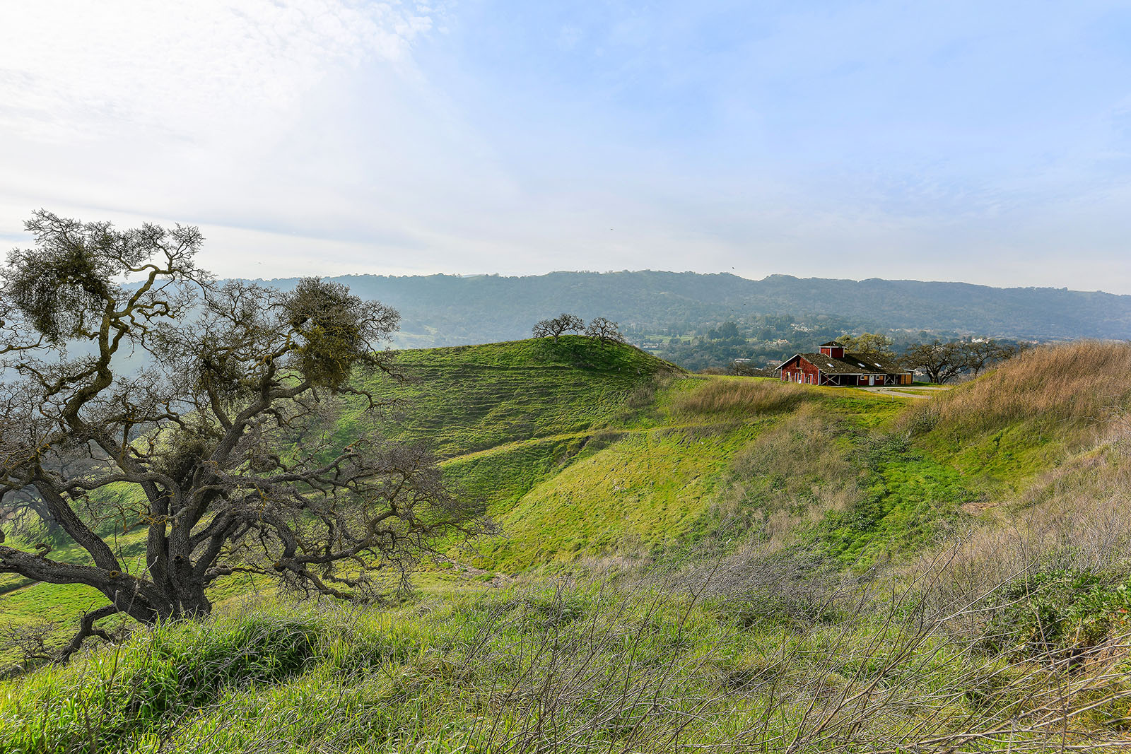 Image number 1 for slideshow of 255 Happy Valley Road -