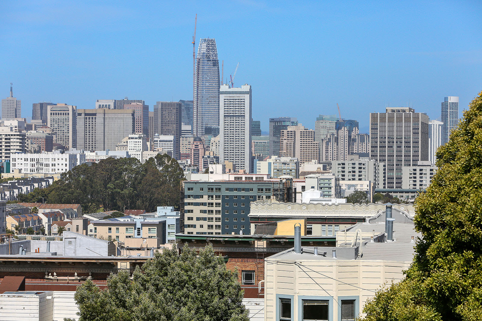 Image number 3 for slideshow of 930 Scott Street #6