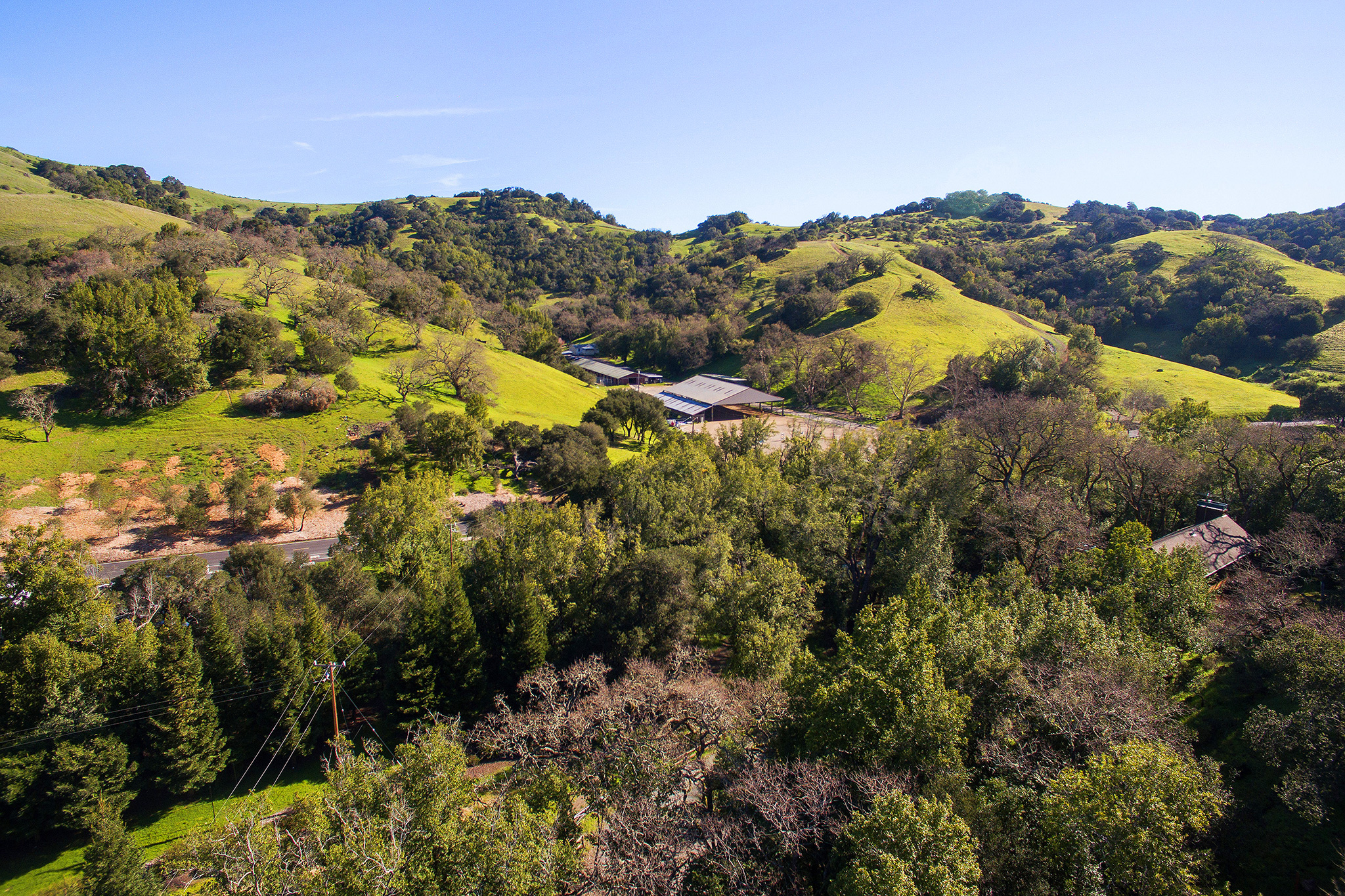 Image number 4 for slideshow of 166 Crane Drive, San Anselmo