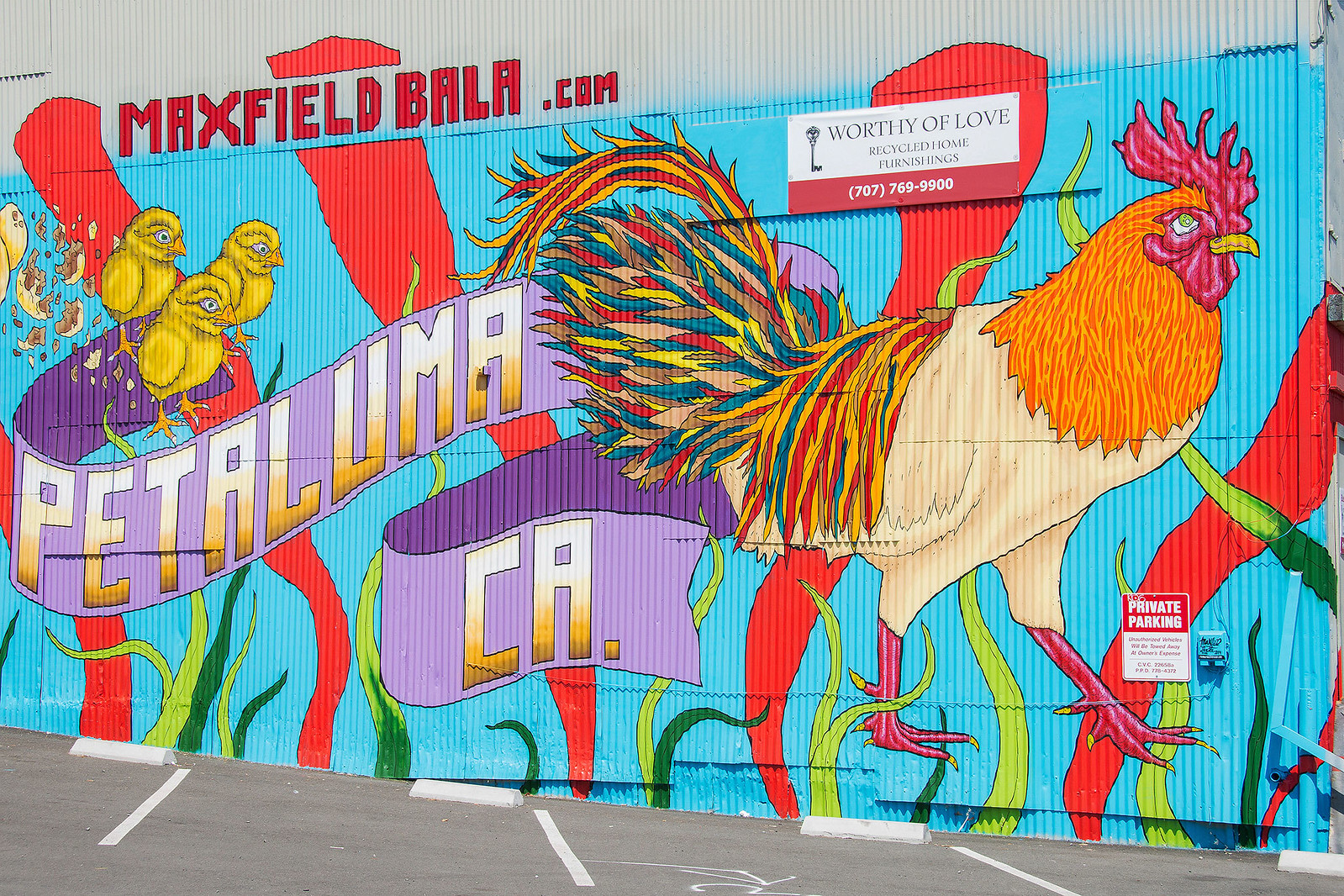 Neighborhood Gallery