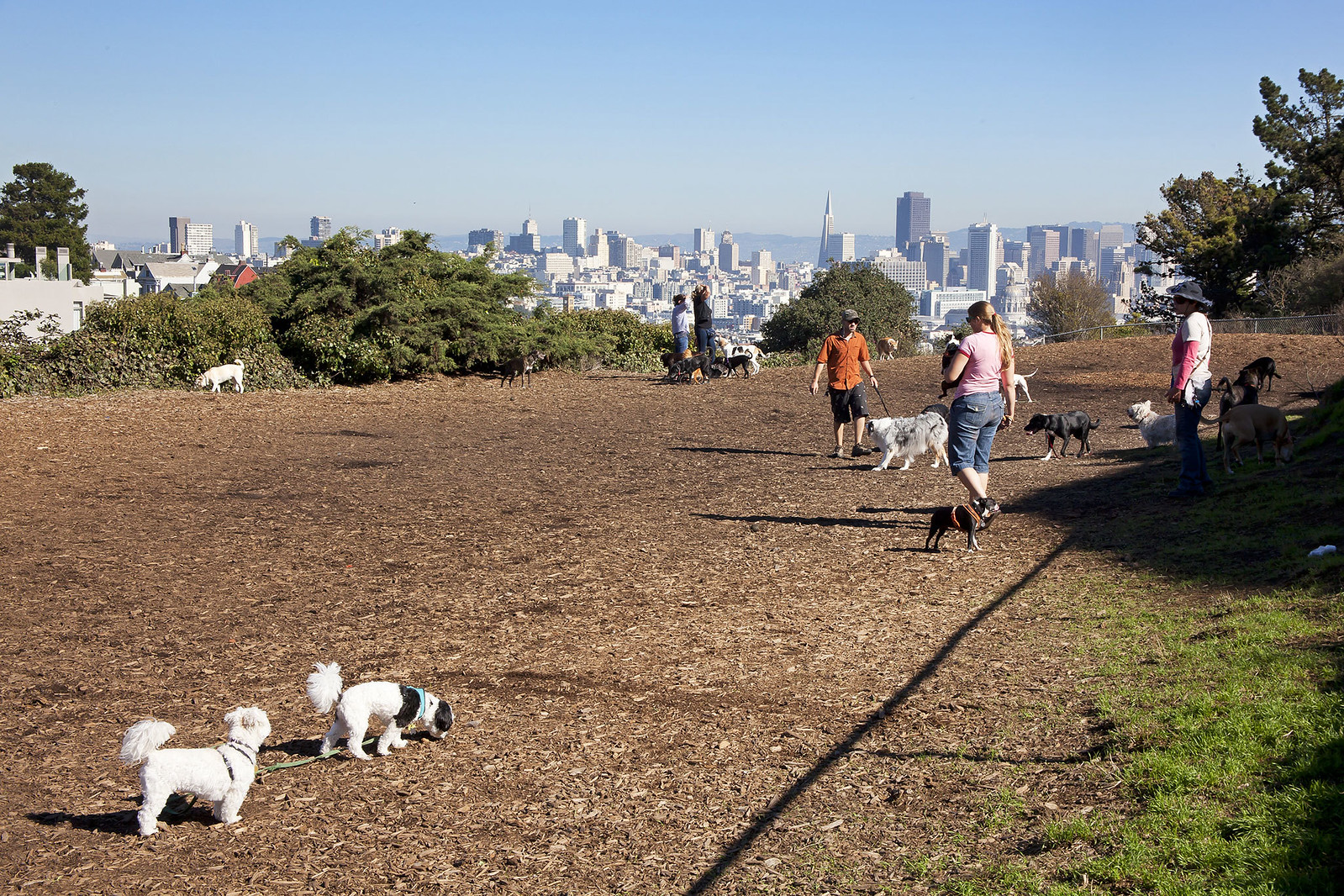 Cover Image for 253 States Street presented by David Ayerdi