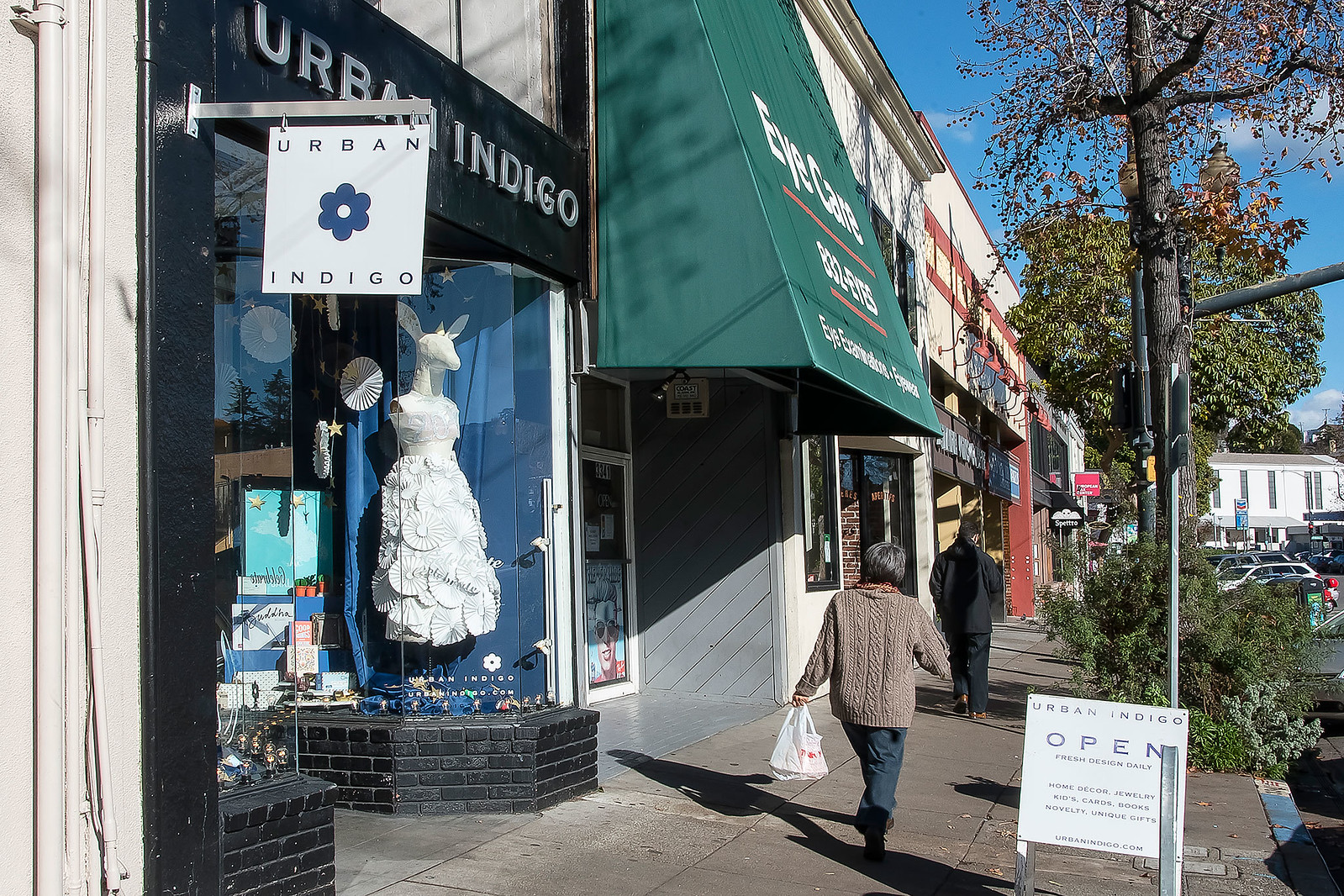 Cover Image for 376 Orange Street #1 presented by Jane Strauch