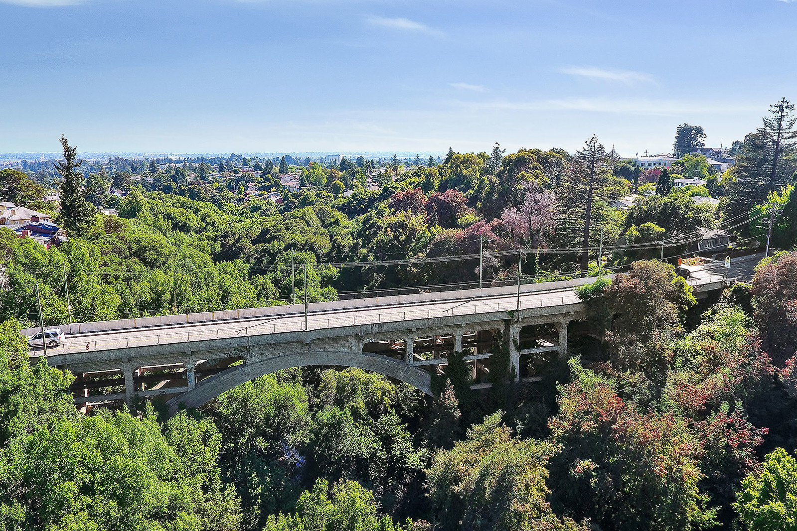 Neighborhood Gallery