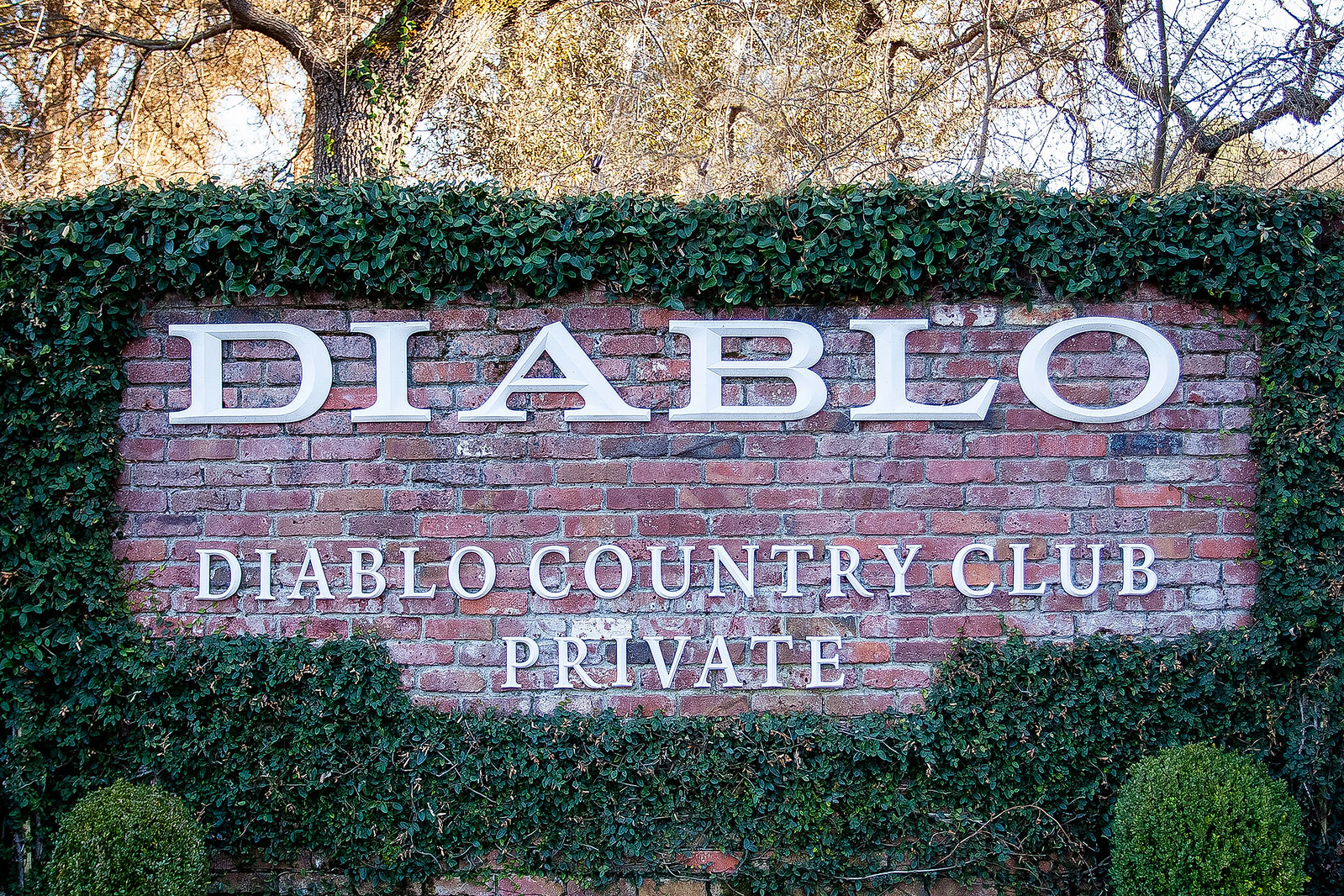 Neighborhood Gallery