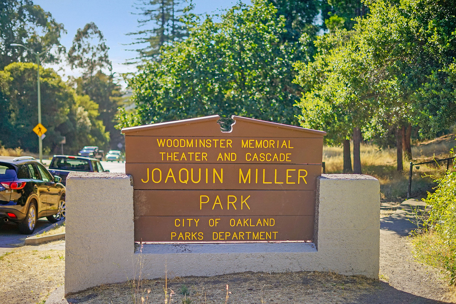 Cover Image for 9057 Skyline Boulevard presented by Jane Strauch