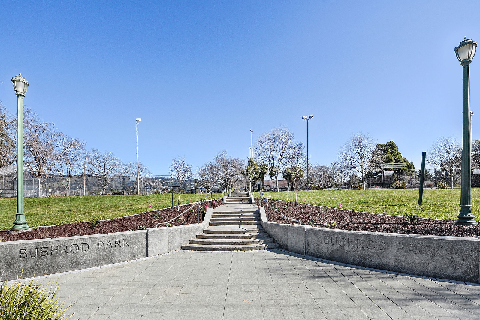 Neighborhood Gallery