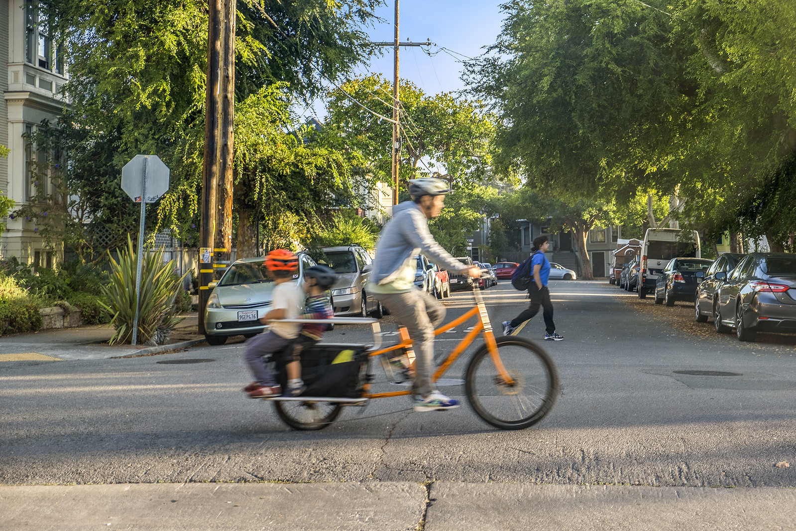 Neighborhood Gallery