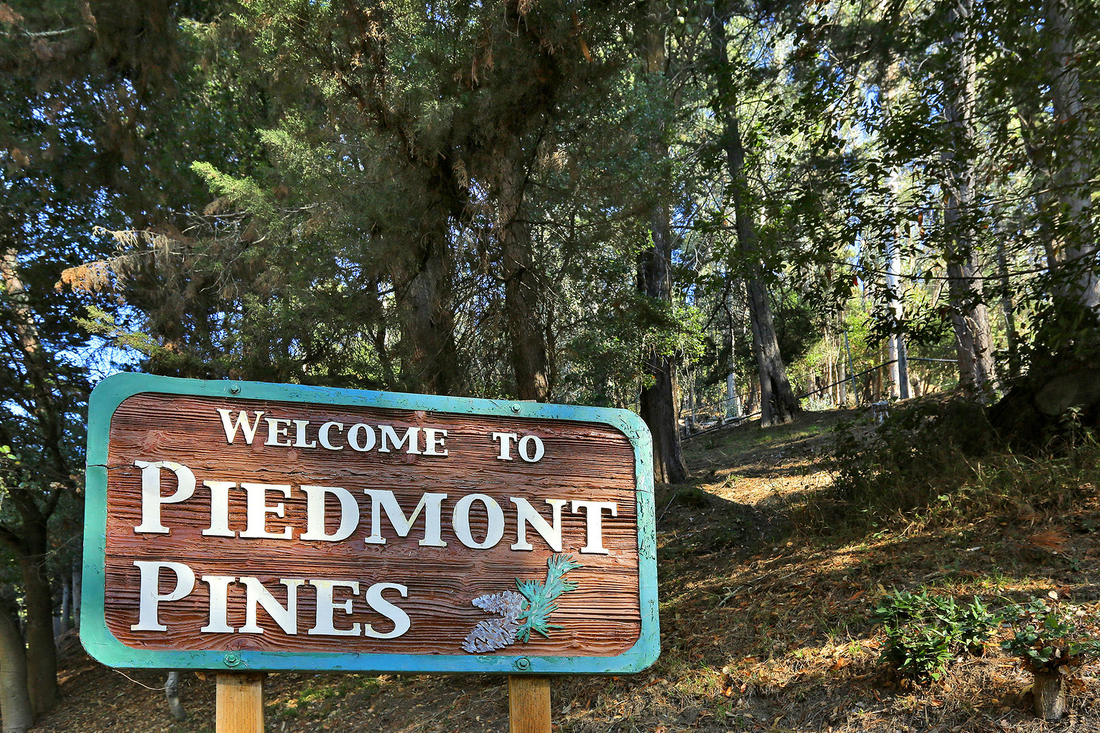 Cover Image for 25 Chelton Lane presented by Jane Strauch