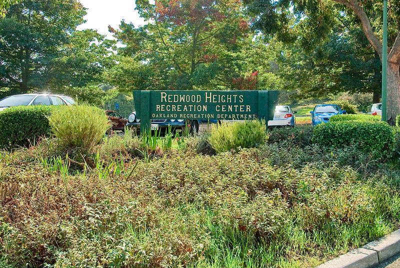 Cover Image for 4875 Reinhardt Drive presented by Souza &  Niroomand Team