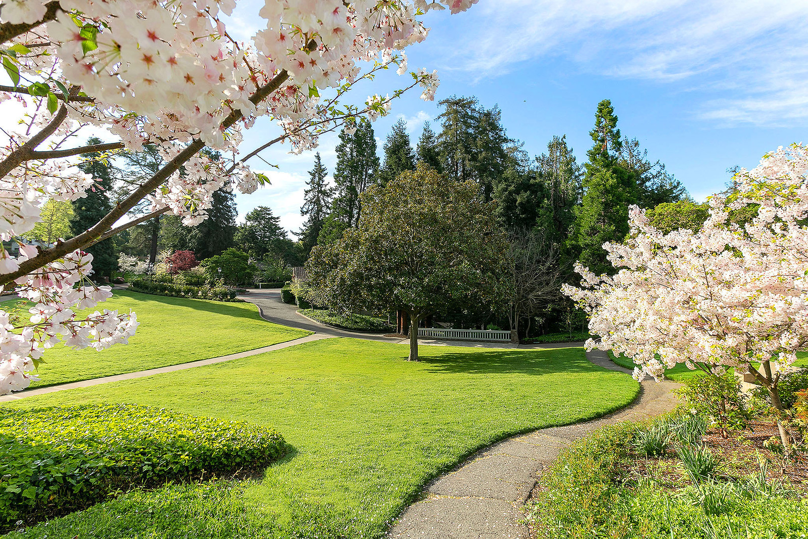 Cover Image for 1138 Ranleigh Way presented by Jane Strauch