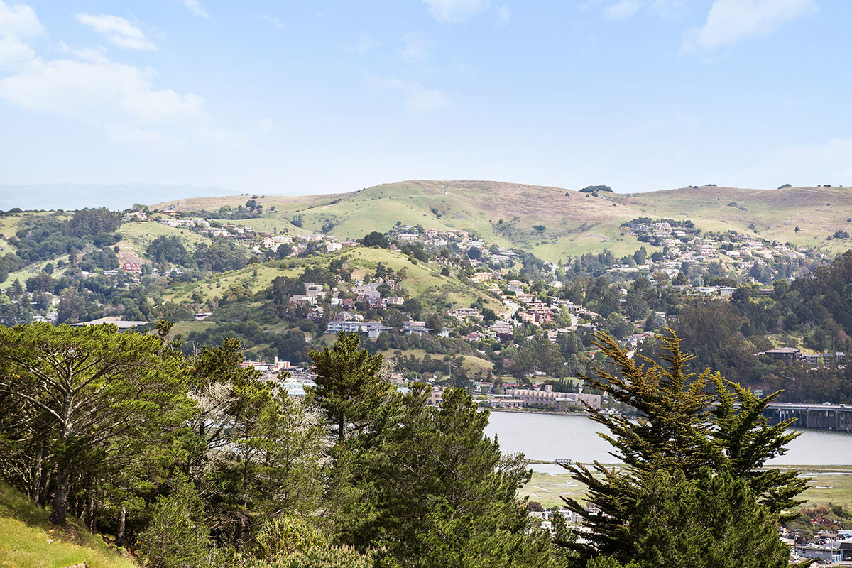 Image number 4 for slideshow of 414 Durant Way, Mill Valley